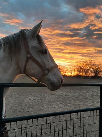 Comfort, Texas